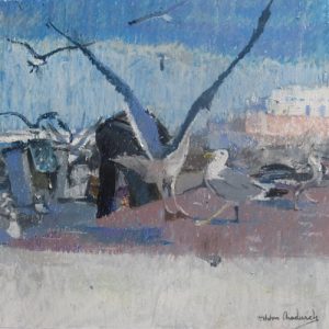Fish Supper - Seagulls Scavenging
