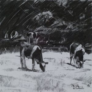 Charcoal Drawing of Cows Grazing