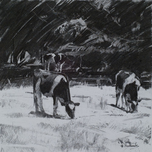 Charcoal Drawing of Cows Grazing
