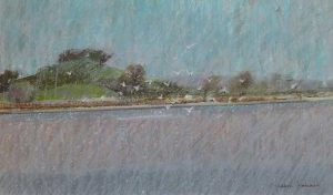 Birds on river Exe Devon