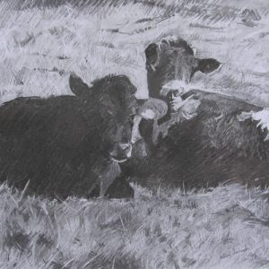 Waiting Cows - Charcoal Drawing